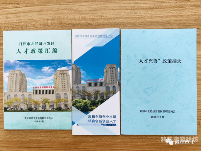 91精品一区二区，揭秘中国互联网内容分区的现状与未来