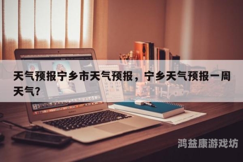 国产、日韩一级一区电影市场对比分析，文化差异与观众偏好
