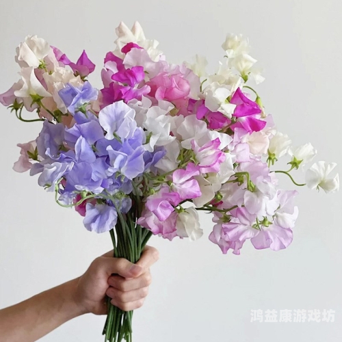 国产无码高清在线播放，技术发展与内容监管的双重挑战