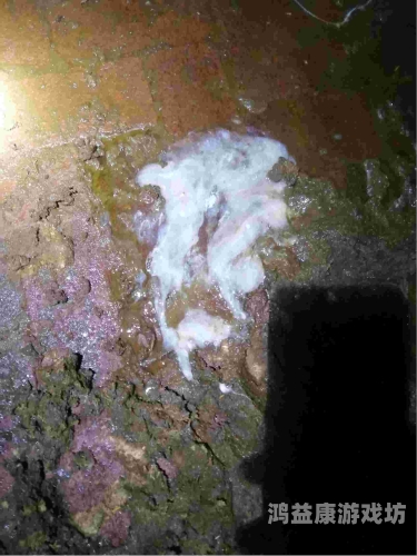 镜流白色液体是什么东西？镜躺在床上流白色分泌物
