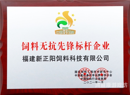 久久久国产亚洲精品，探索中国本土品牌的崛起与创新久久久国产亚洲精品普
