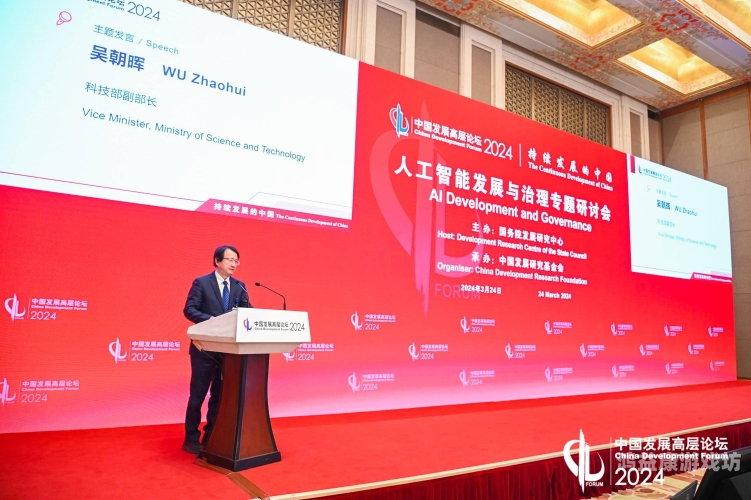 国产人精久久久久久久，深度解析中国人工智能的发展与未来