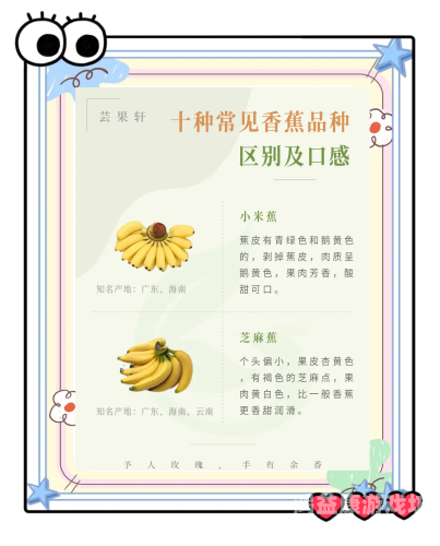 香蕉免费一区二区三区，全球香蕉市场的最新动态与未来趋势香蕉免费一区二区三区在线观看视频