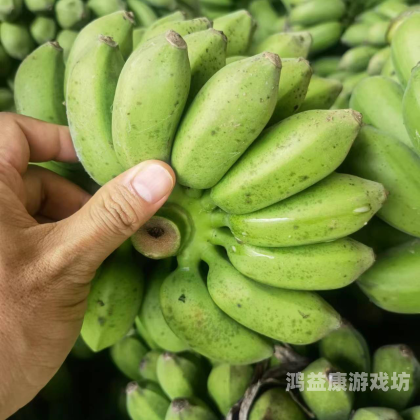 香蕉免费一区二区三区，全球香蕉市场的最新动态与未来趋势香蕉免费一区二区三区在线观看视频