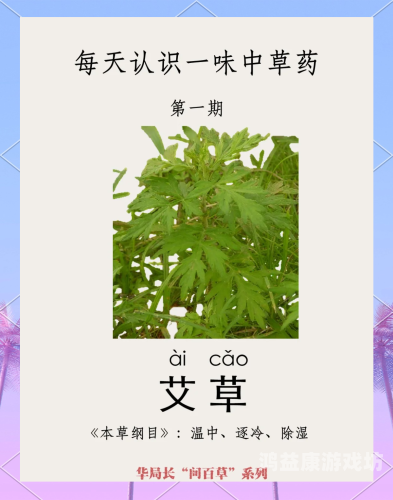 久艾草，天然草药的瑰宝与综合保健的无价之选