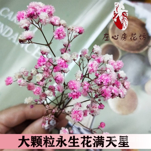 国产白浆二区二区多少钱国产白浆二区价格解析，市场行情与购买指南
