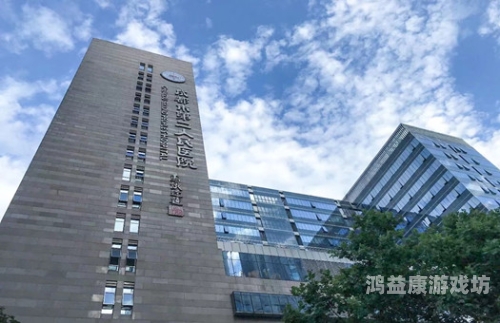 探索97精品国产一二区，国产影视作品的崛起与未来展望