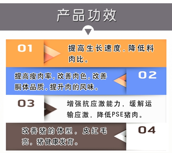 本久久宗和久久综合本久久宗与久久综合，深度解析两大品牌的发展历程与市场影响