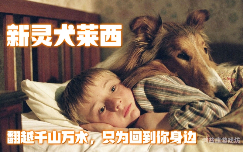 俺来也俺去啦久久综合网俺来也俺去啦久久综合网，一站式综合服务平台的全方位解析