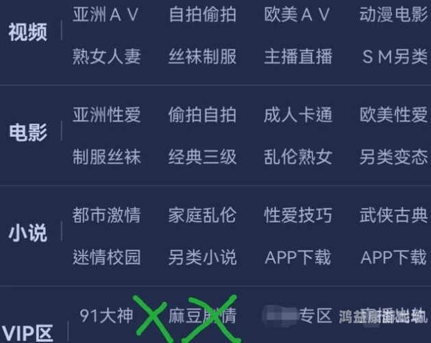 亚洲中文字幕AV无码专区，探索与争议亚洲中文字幕av无码专区在线观看