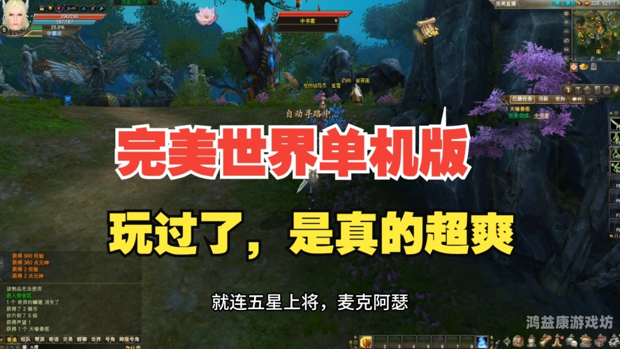 网游单机版，经典与现代的完美融合