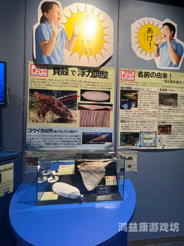 探索无码一区91专属，成人内容的新趋势与影响