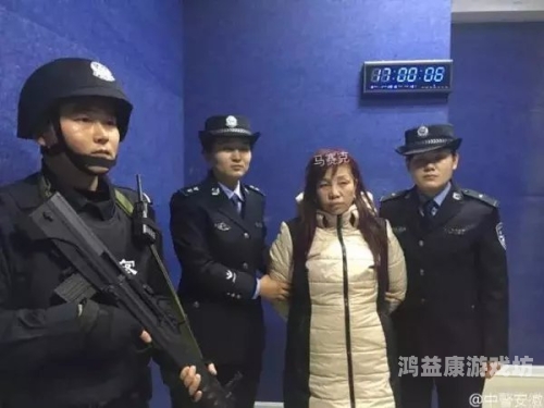 高清无码电影在线观看指南，如何安全、合法地享受优质影视资源