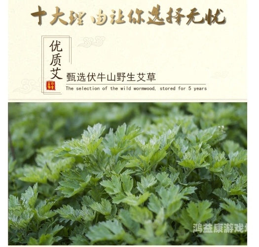 亚洲国产精品久久艾草纯爱亚洲国产精品久久艾草纯爱，探寻纯爱电影中的东方美学
