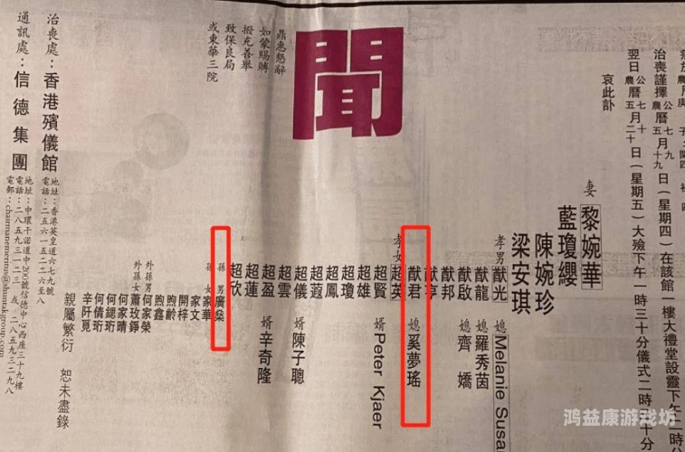 中出av在线观看 深度解析，中出AV在线观看现象及其社会影响