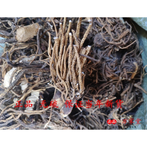免费无码国产一区探索免费无码国产一区，内容、合法性及用户指南