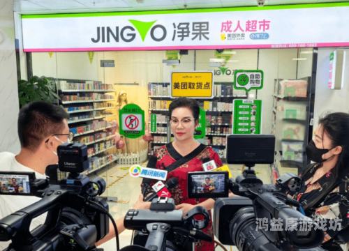 亚洲精品成人网在线播放，探讨数字时代的成人内容消费与法律边界