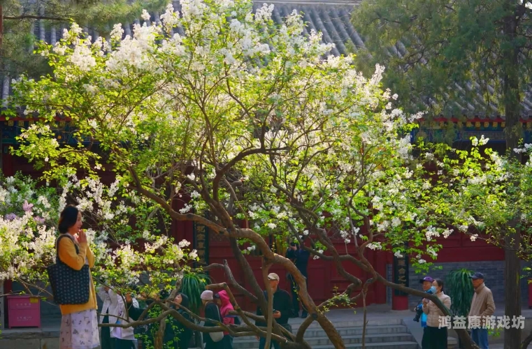激情综合色五月丁香六月亚洲，探索亚洲文化与自然的魅力激情综合色五月丁香六月亚洲,网站hd麻