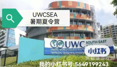 亚洲中文字幕视频在线观看亚洲中文字幕视频在线观看，探索多元文化的窗口