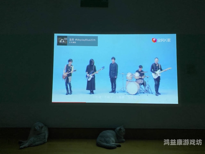 精品免费视频无码不卡网站推荐，畅享高清流畅观影体验在线高清免费不无卡吗