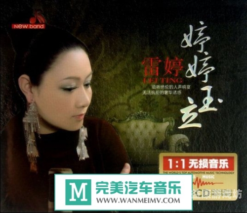 婷婷中文 视频在线婷婷中文视频在线，学习中文的新趋势与实用指南