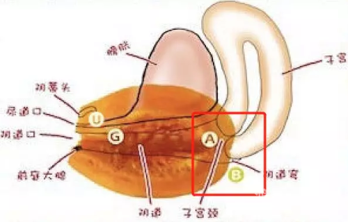 国产电影中的女性角色塑造，从高潮到深度探讨在线毛片观看视频国之语