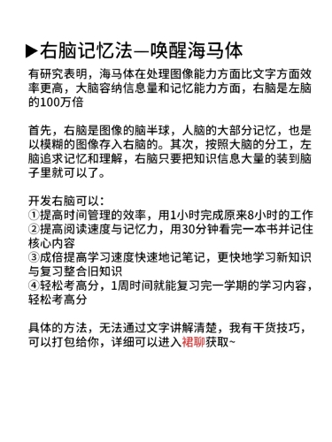 免费开挂软件，揭秘网络世界中的高效学习与工作利器
