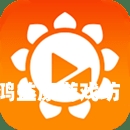成年人在线播放视频成年人在线播放视频，趋势、挑战与未来展望