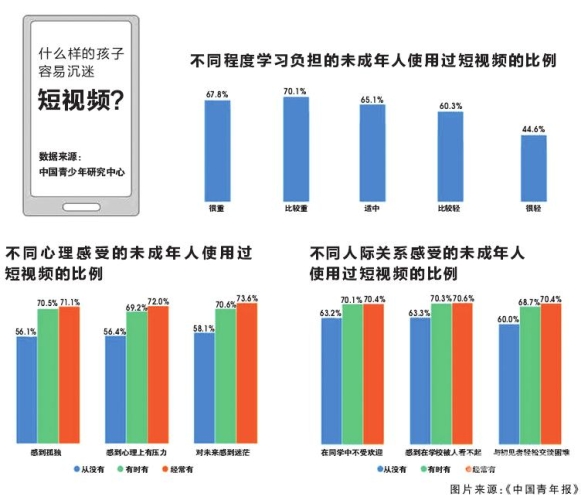 成年人在线播放视频成年人在线播放视频，趋势、挑战与未来展望