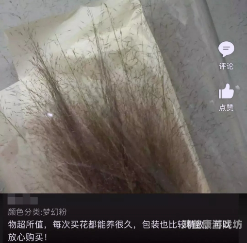 青草久久97超碰人人青草久久97超碰人人，探索网络文化的多元性与深度