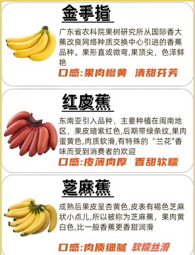 在线香蕉y亚洲视频在线香蕉y亚洲视频，探索亚洲影视文化的魅力与多样性