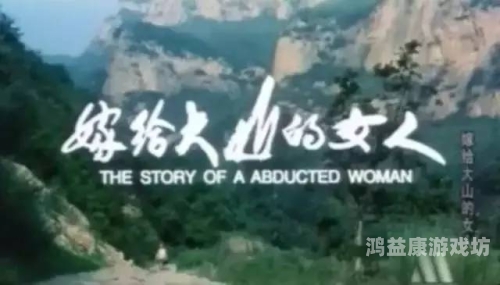 国产精品爽爽ⅴa在线观看，探索国产影视作品的崛起与魅力
