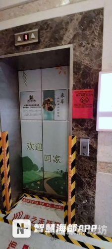 无码免费一区二区三区视频无码免费一区二区三区视频，网络安全与合法观看的重要性