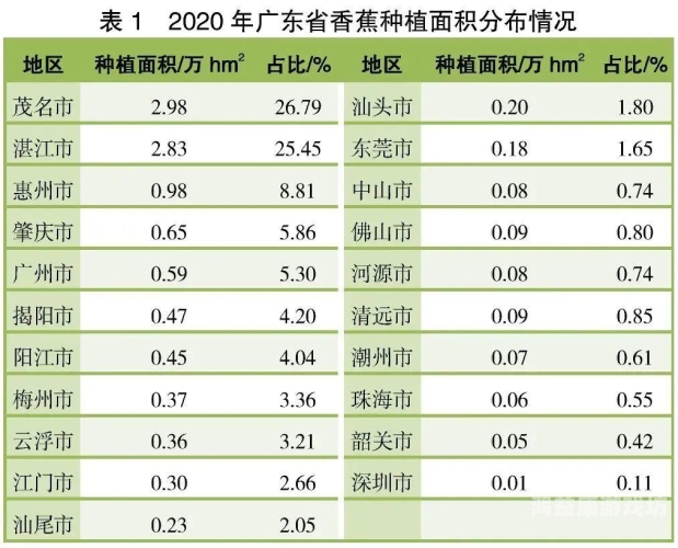 香蕉久久99综合一区二区三区，深度解析香蕉产业的未来发展趋势