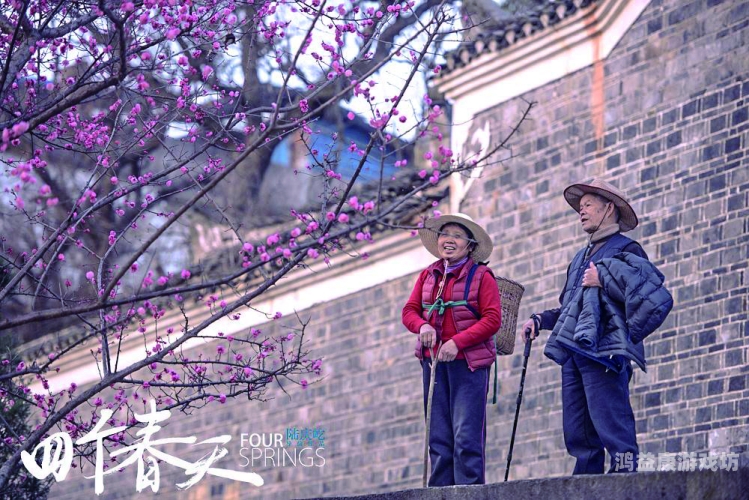 精品国产三级A∨电影，艺术与市场的双重探索