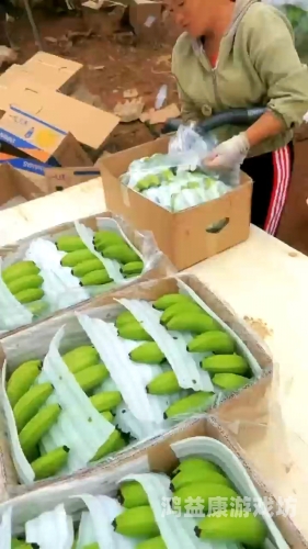 精品国产自在97香蕉，品质与口感的完美结合