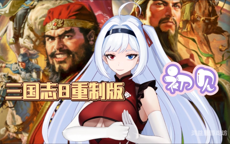 三国志8中文版，深入探索三国时代的政治与军事智慧