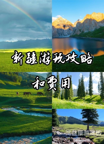 青青草原国产在线大伊人青青草原国产在线大伊人，探索中国草原文化的魅力与传承