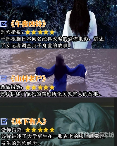 亚洲午夜电影理论片费看亚洲午夜电影理论片费看，探索深夜电影文化的独特魅力