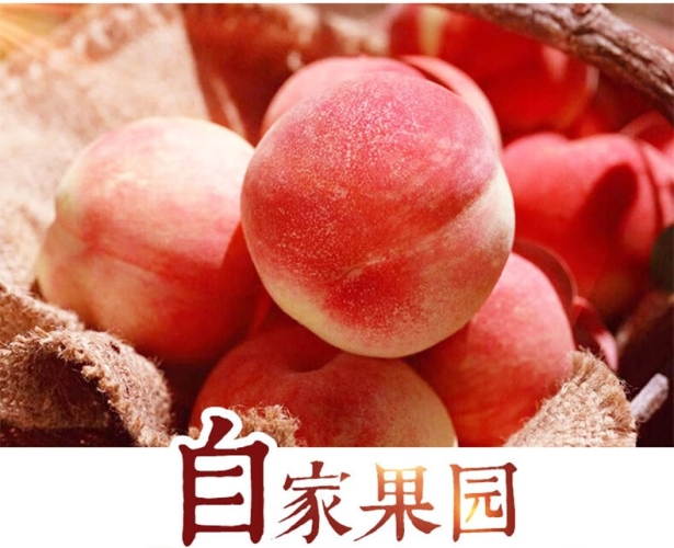 精品无码久久久久久久久水蜜桃精品无码久久久久久久久水蜜桃，品质与口感的完美结合