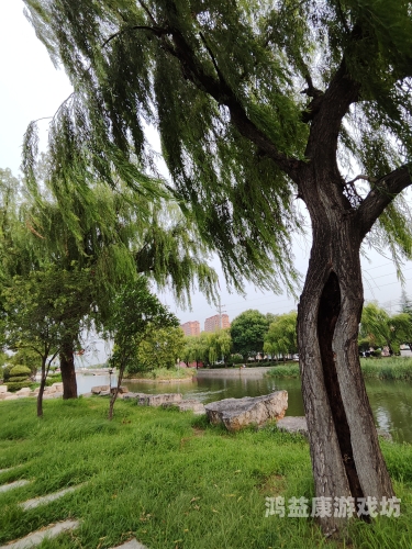 1青草国产超碰人人青草国产超碰人人，探索中国草业发展的新机遇与挑战