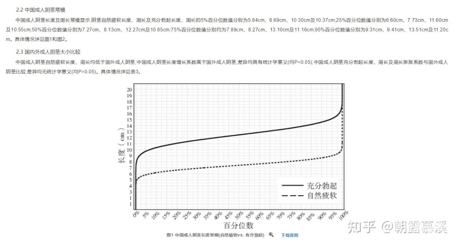 探索日本成人网站的三级分类，内容、法规与用户行为分析