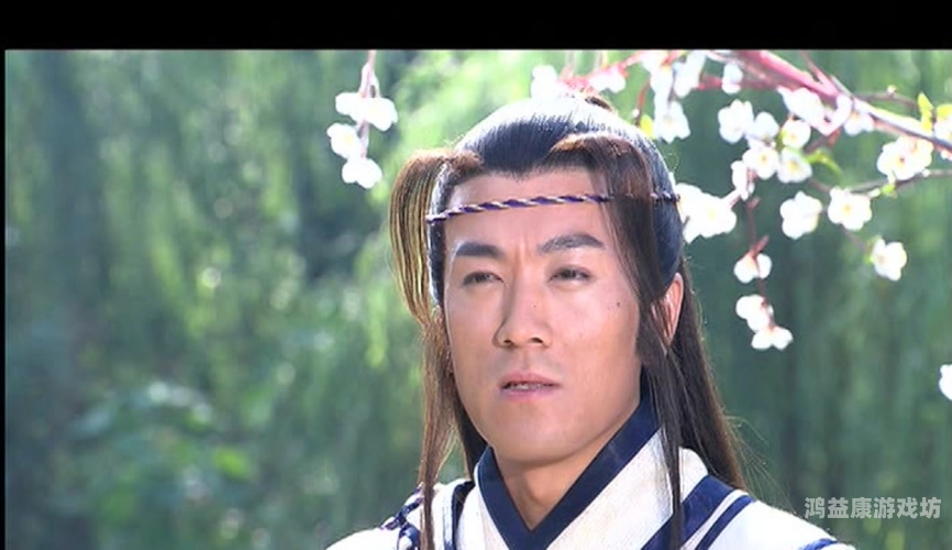 婷婷视频在线播放免费观看婷婷视频在线播放免费观看，全面解析与使用指南