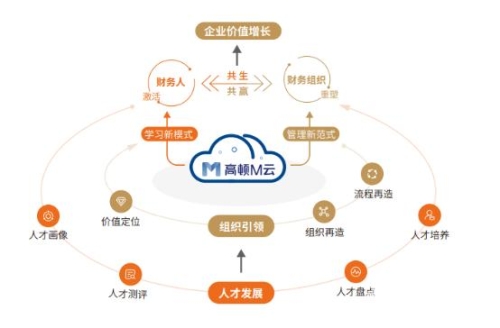 数字时代的行业变革与创新，重塑未来的无限可能