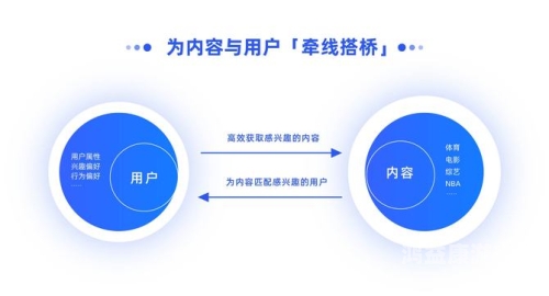 四虎精品视频一区二区四虎精品视频一区二区，深度解析其内容与用户需求