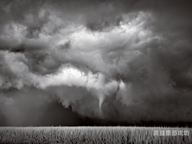 斑马视频电影免费观看，探索电影的多样性与精彩瞬间