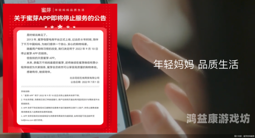 亚洲国产第一站精品蜜芽，探索中国母婴电商的崛起之路