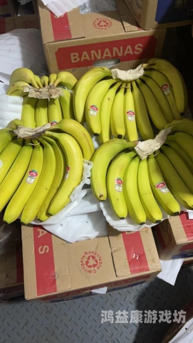 精品香蕉一区二区三区浪潮，品质与市场的双重崛起一区2121