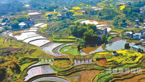 农村在线高清无码不卡农村在线高清无码不卡，科技赋能乡村振兴的新篇章