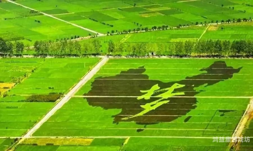 农村在线高清无码不卡农村在线高清无码不卡，科技赋能乡村振兴的新篇章